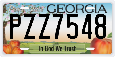 GA license plate PZZ7548