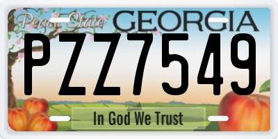 GA license plate PZZ7549