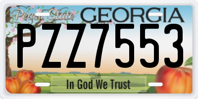 GA license plate PZZ7553
