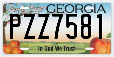 GA license plate PZZ7581