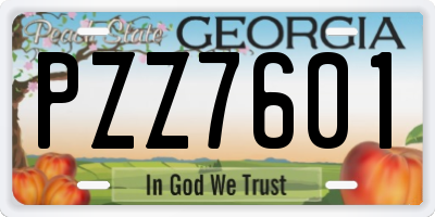 GA license plate PZZ7601