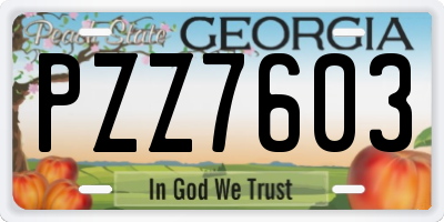 GA license plate PZZ7603
