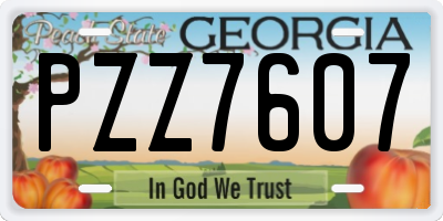 GA license plate PZZ7607