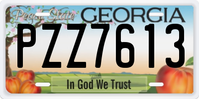 GA license plate PZZ7613