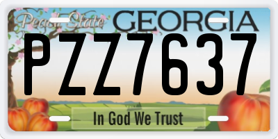 GA license plate PZZ7637
