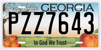GA license plate PZZ7643