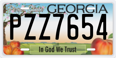 GA license plate PZZ7654