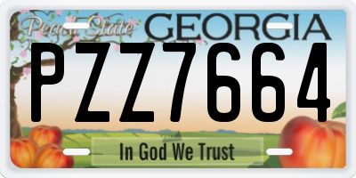 GA license plate PZZ7664