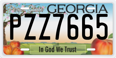 GA license plate PZZ7665