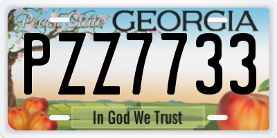 GA license plate PZZ7733
