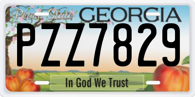 GA license plate PZZ7829