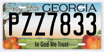 GA license plate PZZ7833