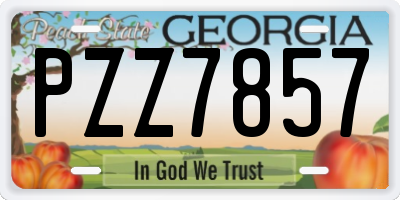 GA license plate PZZ7857