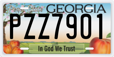 GA license plate PZZ7901