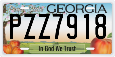 GA license plate PZZ7918