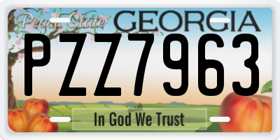 GA license plate PZZ7963