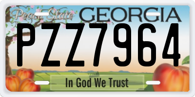 GA license plate PZZ7964