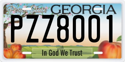 GA license plate PZZ8001
