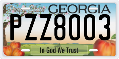 GA license plate PZZ8003