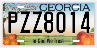 GA license plate PZZ8014
