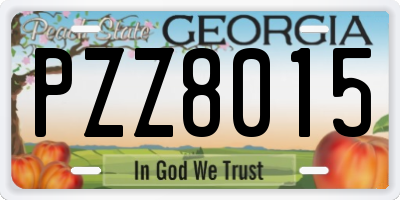 GA license plate PZZ8015