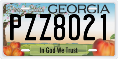 GA license plate PZZ8021