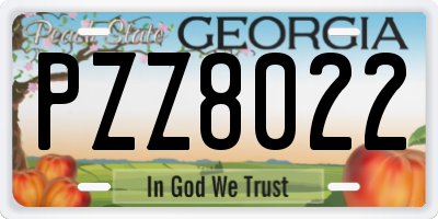 GA license plate PZZ8022