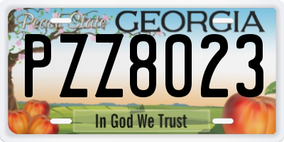 GA license plate PZZ8023
