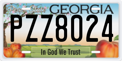 GA license plate PZZ8024