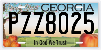 GA license plate PZZ8025