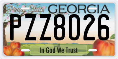 GA license plate PZZ8026