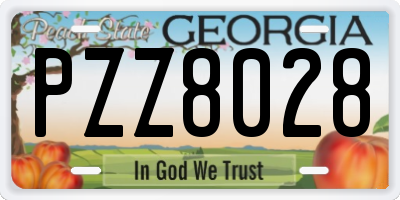 GA license plate PZZ8028