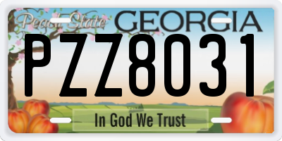 GA license plate PZZ8031