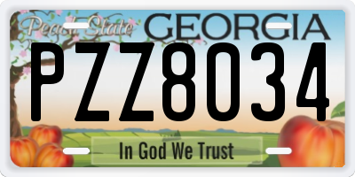 GA license plate PZZ8034