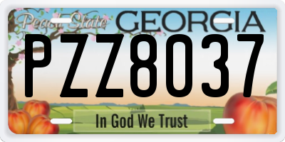 GA license plate PZZ8037