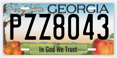 GA license plate PZZ8043