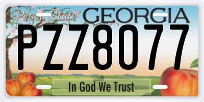 GA license plate PZZ8077