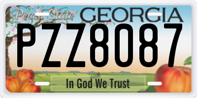 GA license plate PZZ8087