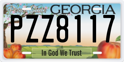 GA license plate PZZ8117