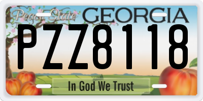 GA license plate PZZ8118