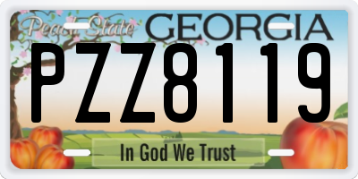 GA license plate PZZ8119