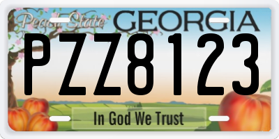 GA license plate PZZ8123