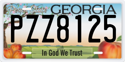 GA license plate PZZ8125
