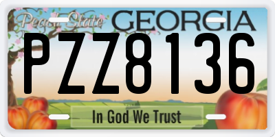 GA license plate PZZ8136