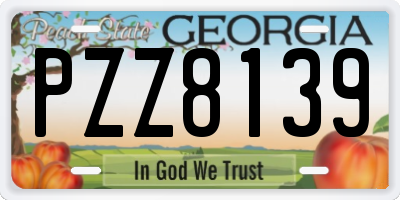 GA license plate PZZ8139