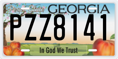 GA license plate PZZ8141