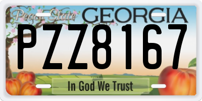 GA license plate PZZ8167