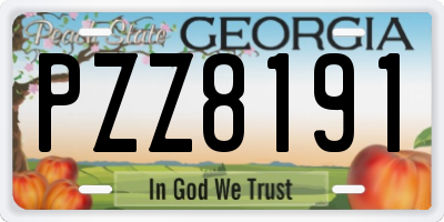 GA license plate PZZ8191