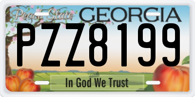 GA license plate PZZ8199