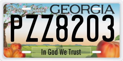 GA license plate PZZ8203
